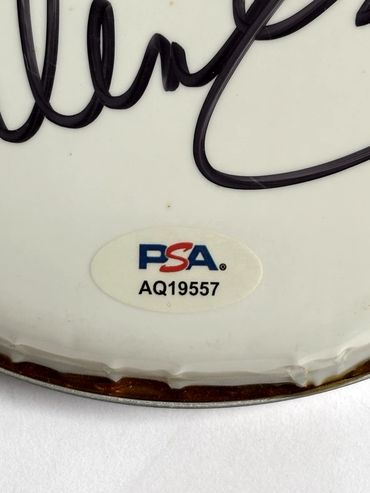 MAX WEINBERG Signed New REMO 6” DRUMHEAD E Street Band PSA DNA COA Springsteen, изображение 4
