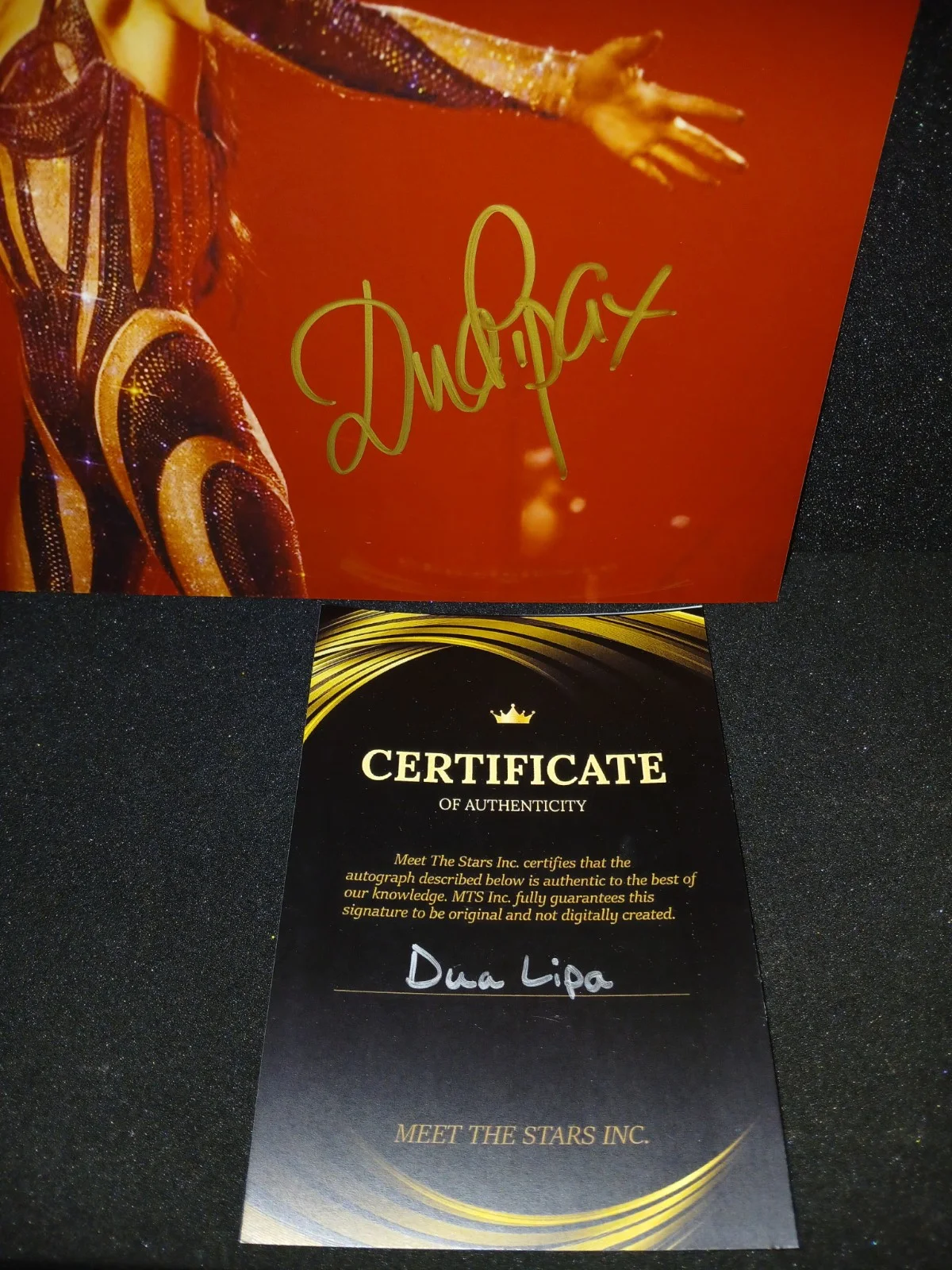 Dua Lipa Signed 8x10 Photo - Authentic Autograph COA, image 2