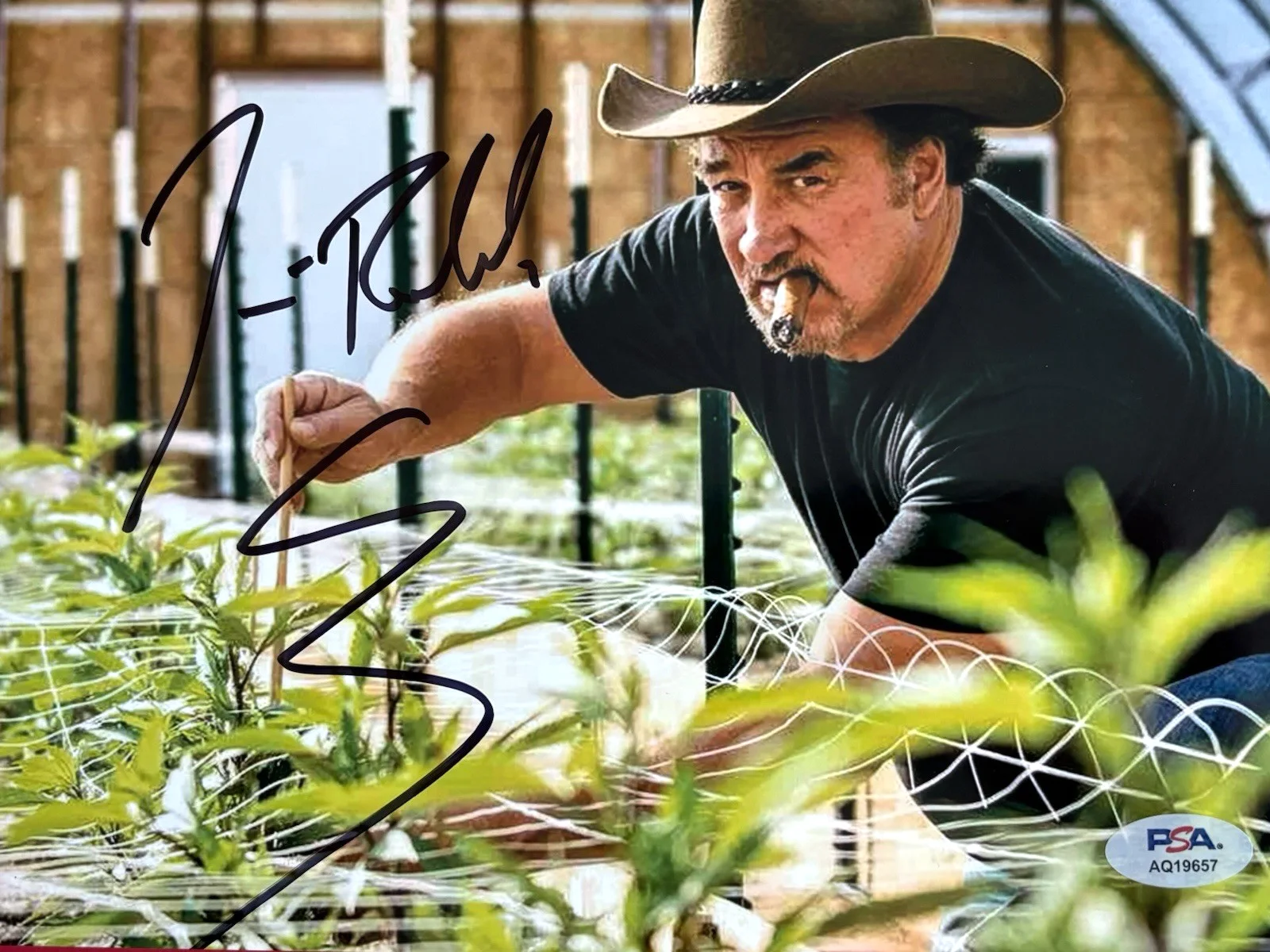 JIM BELUSHI — JIM BELUSHI Signed Medical Marijuana Hemp 8x10 Photo PSA DNA COA James JOHN