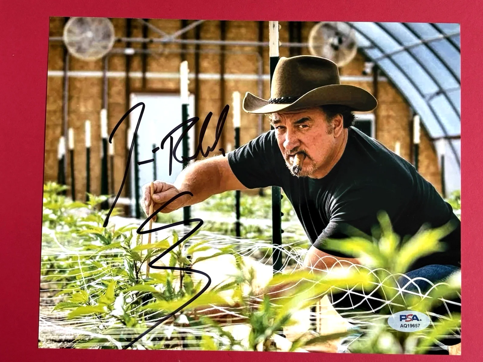 JIM BELUSHI — JIM BELUSHI Signed Medical Marijuana Hemp 8x10 Photo PSA DNA COA James JOHN, изображение 2