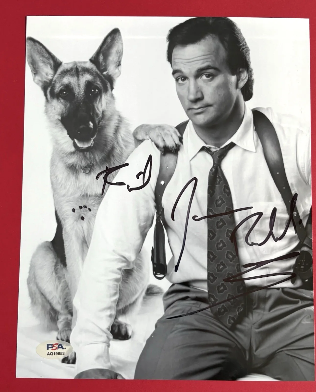 JIM BELUSHI — JIM BELUSHI Signed K-9 8x10 Photo PSA DNA COA James JOHN The Blues Brothers, изображение 2