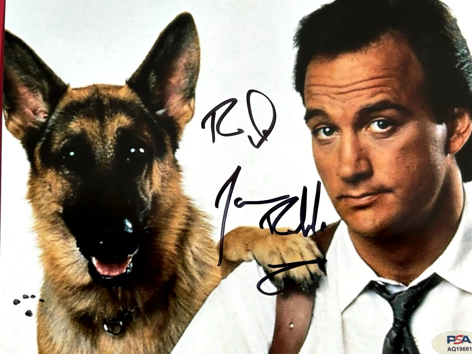 JIM BELUSHI — JIM BELUSHI Signed K-9 8x10 Photo PSA DNA COA James JOHN Trading Places