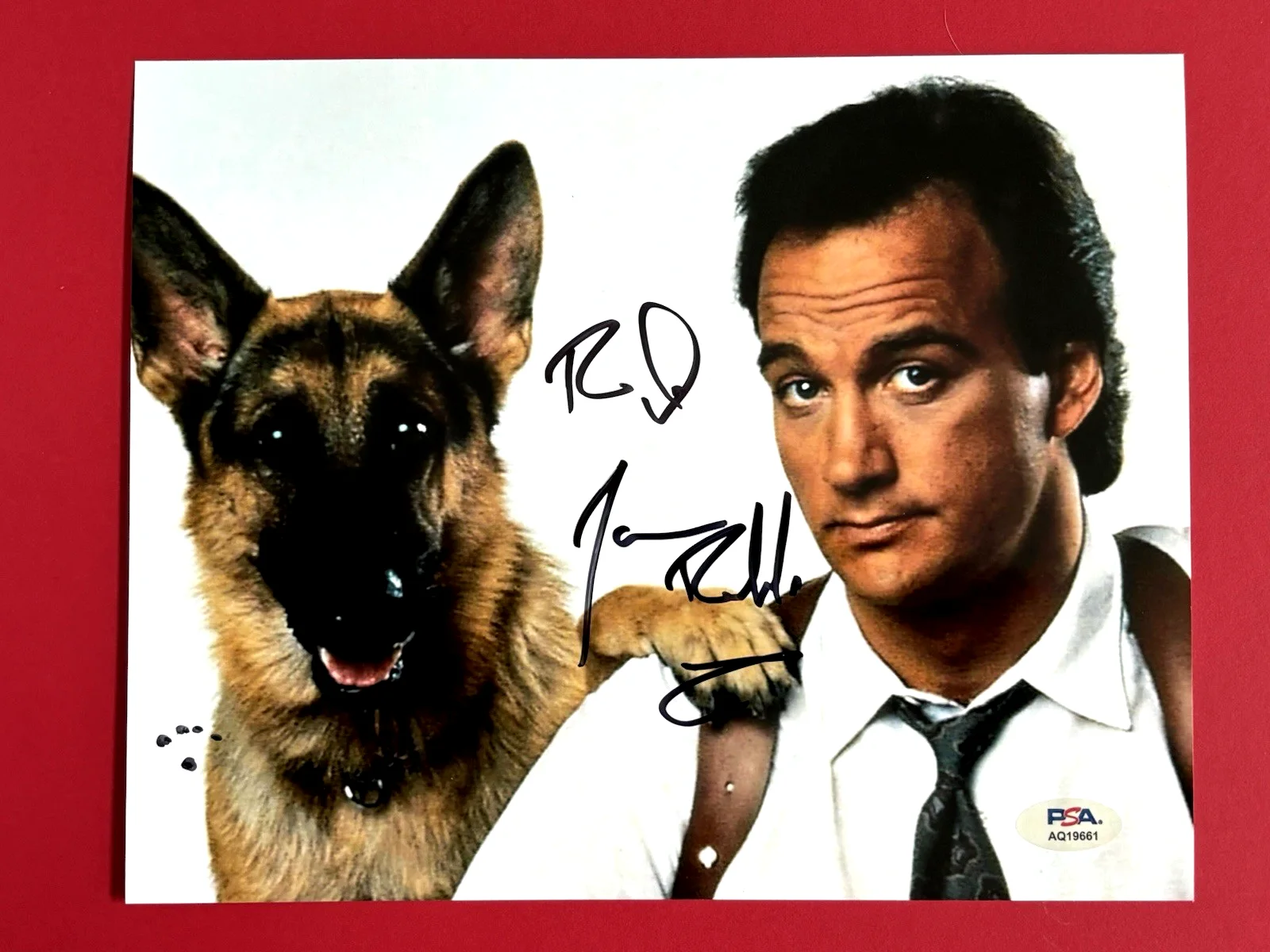 JIM BELUSHI — JIM BELUSHI Signed K-9 8x10 Photo PSA DNA COA James JOHN Trading Places, изображение 2