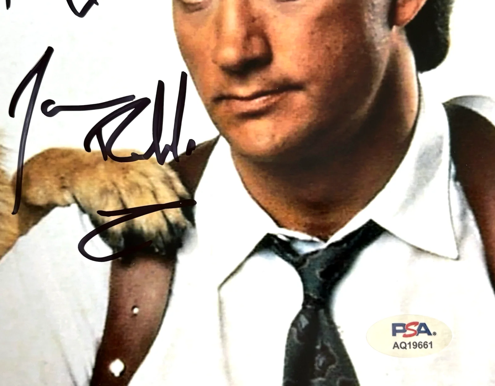 JIM BELUSHI — JIM BELUSHI Signed K-9 8x10 Photo PSA DNA COA James JOHN Trading Places, изображение 3