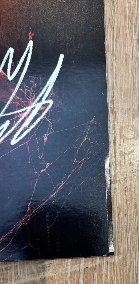 Stranger Things Foil Poster Signed By Noah Finn Millie Gaten Caleb & Duffer bros, image 2