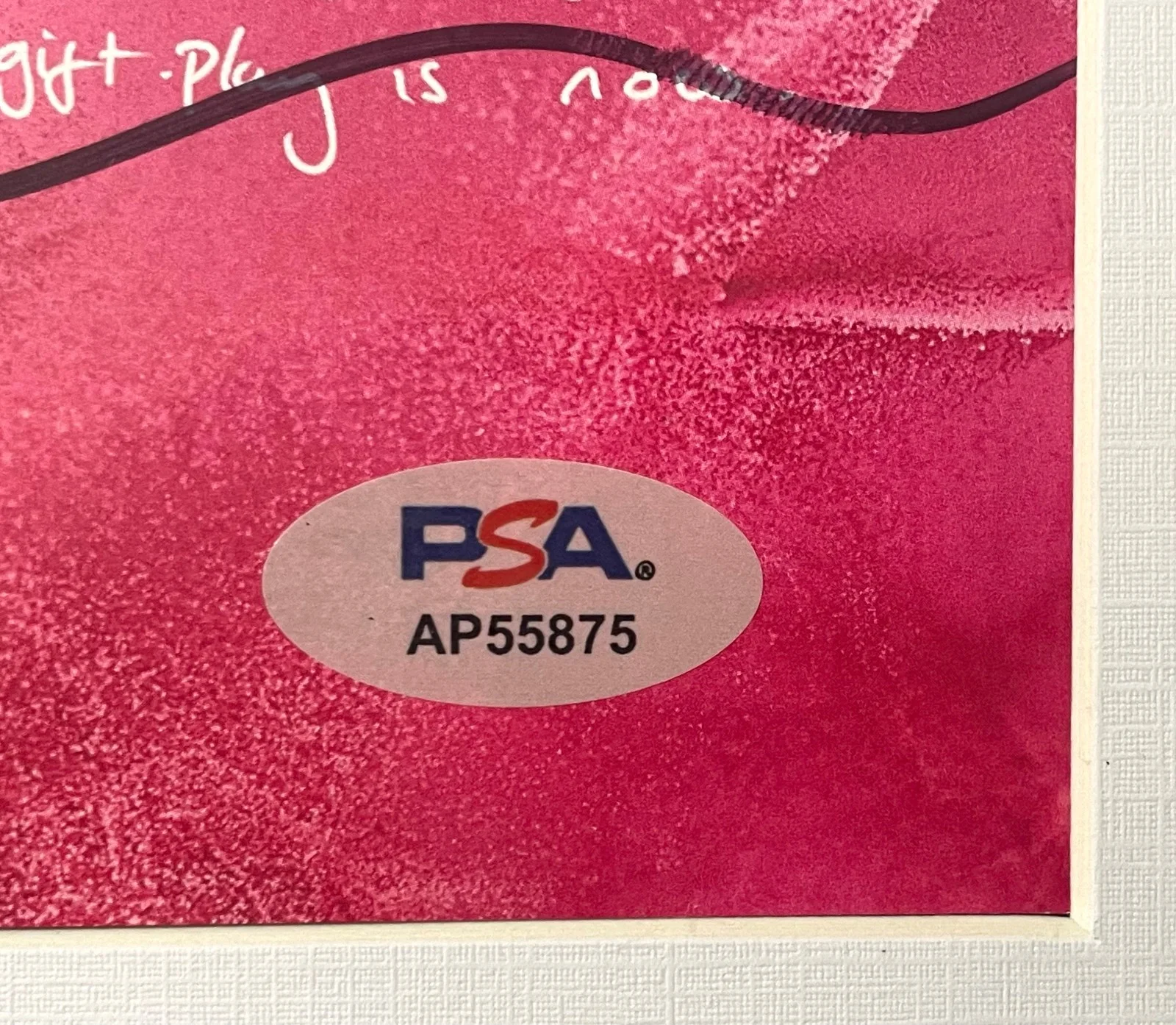 🎶 Ed Sheeran PLAY Signed CD Framed PSA COA Authentic Autograph Memorabilia 🎶, image 5