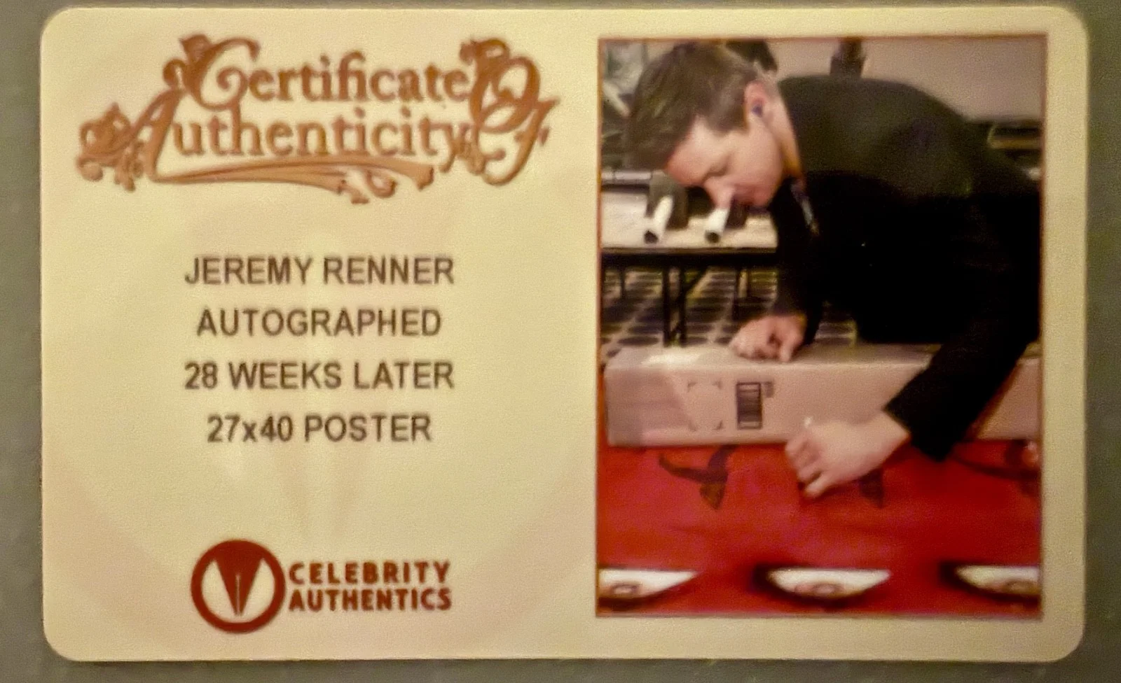 Jeremy Renner — Jeremy Renner Signed 27x40 Poster 28 Weeks Later Celebrity Authentics COA, image 4