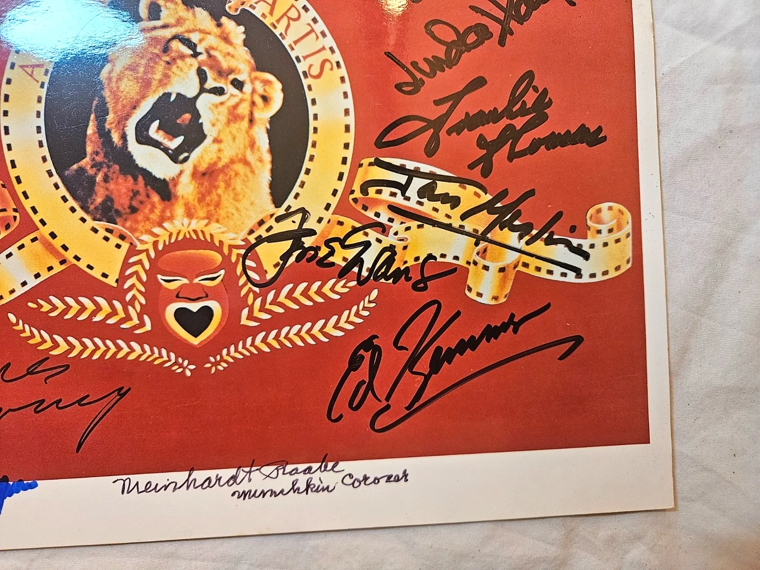 Vintage Hollywood Legends MGM 13x Signed, image 2