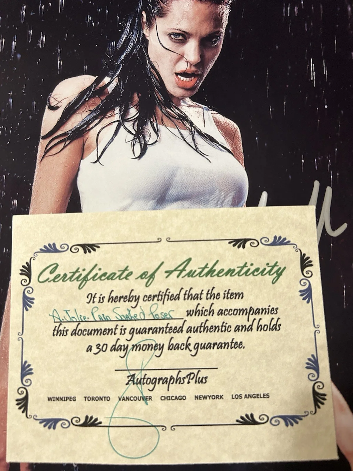 Angelina Jolie Rain Soaked Poser 8x10 Autographed Signed Photo COA, image 2