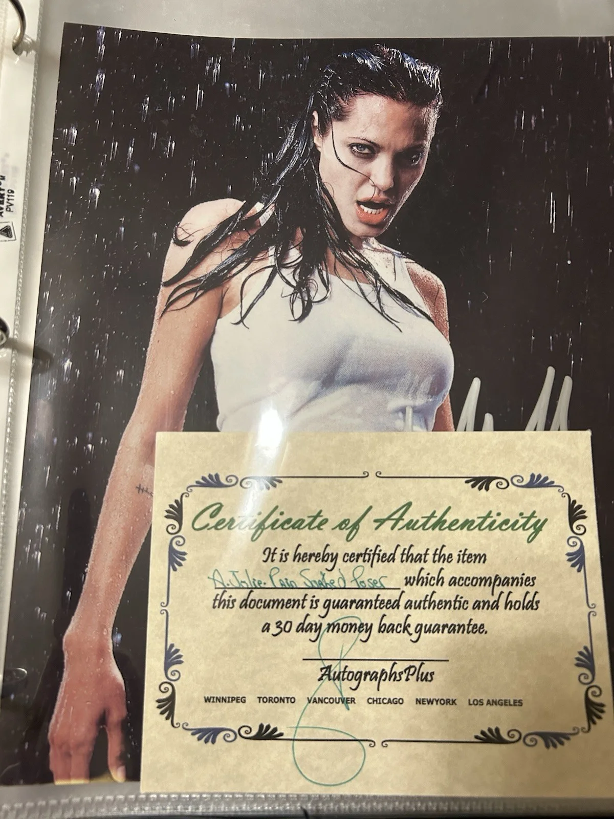 Angelina Jolie Rain Soaked Poser 8x10 Autographed Signed Photo COA, image 3