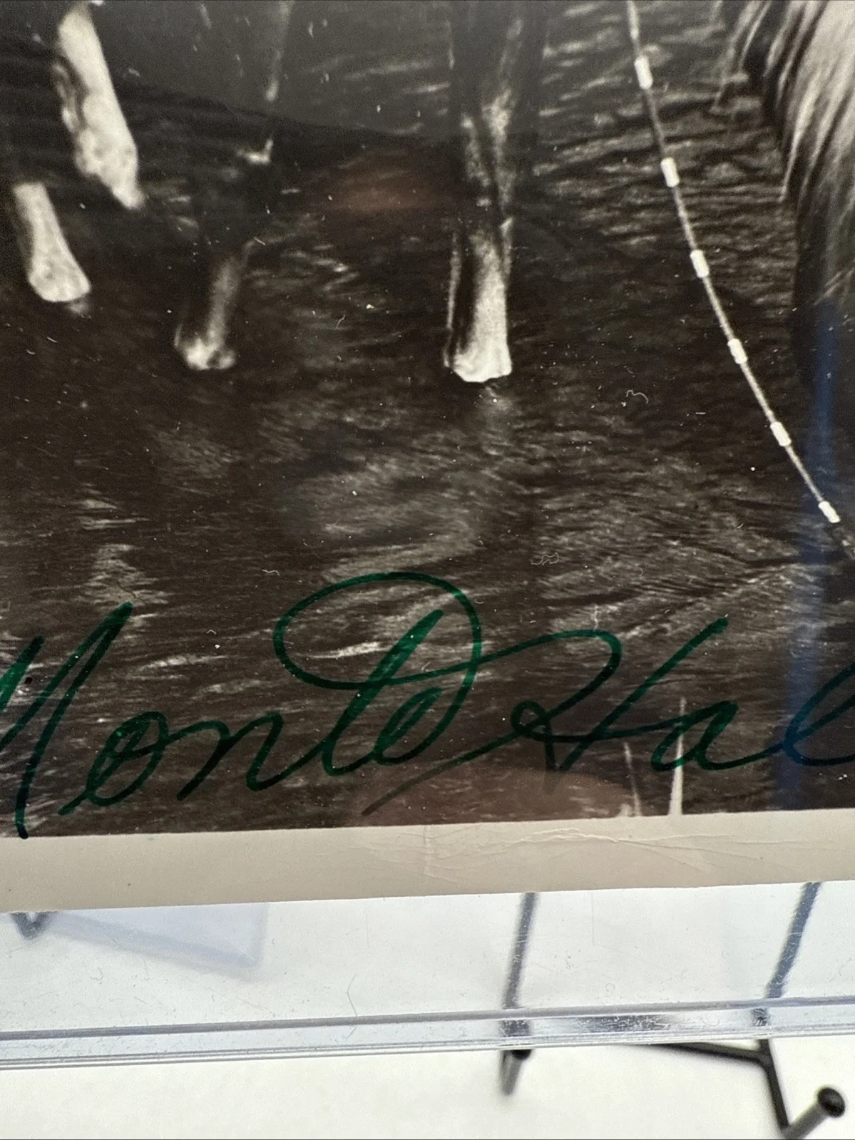 Monte Hale Autographed B&W 5X7 Photograph Lot of 2. On Horse and Studio Shot, изображение 5