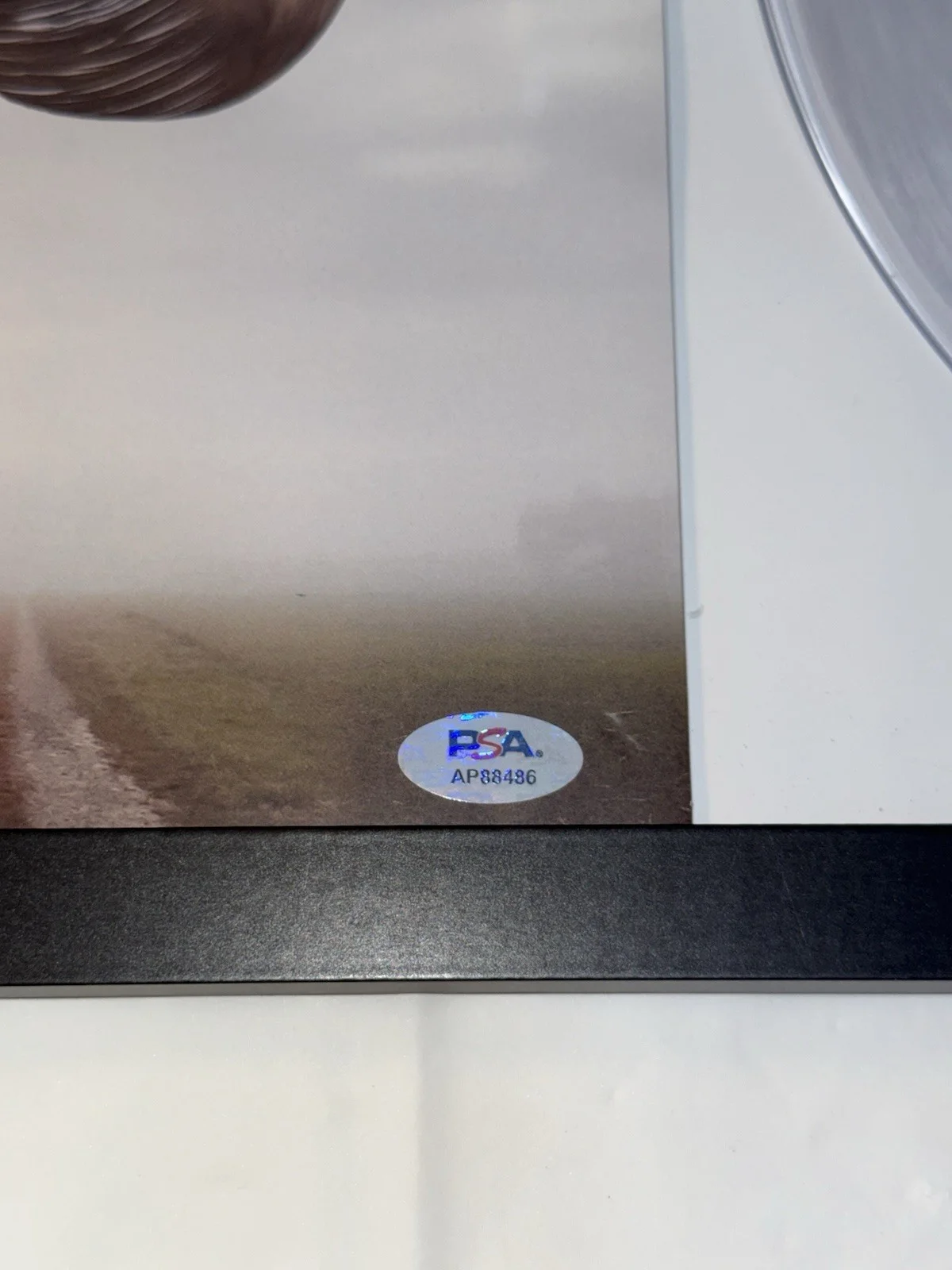 BRYAN ADAMS SIGNED AUTOGRAPH ROLL WITH THE PUNCHES VINYL RECORD FRAMED PSA COA, image 4