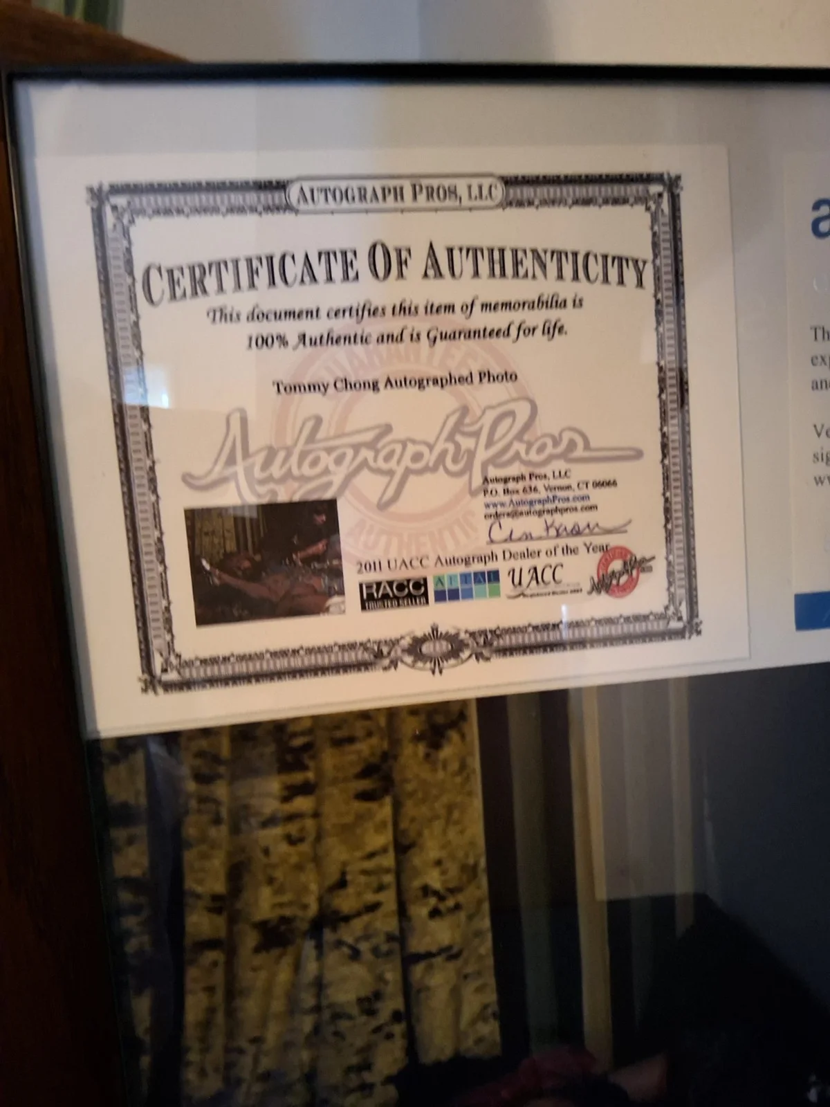 Tommy Chong Autographed Photo Signed Certificate of Authenticity. Framed COA, image 3