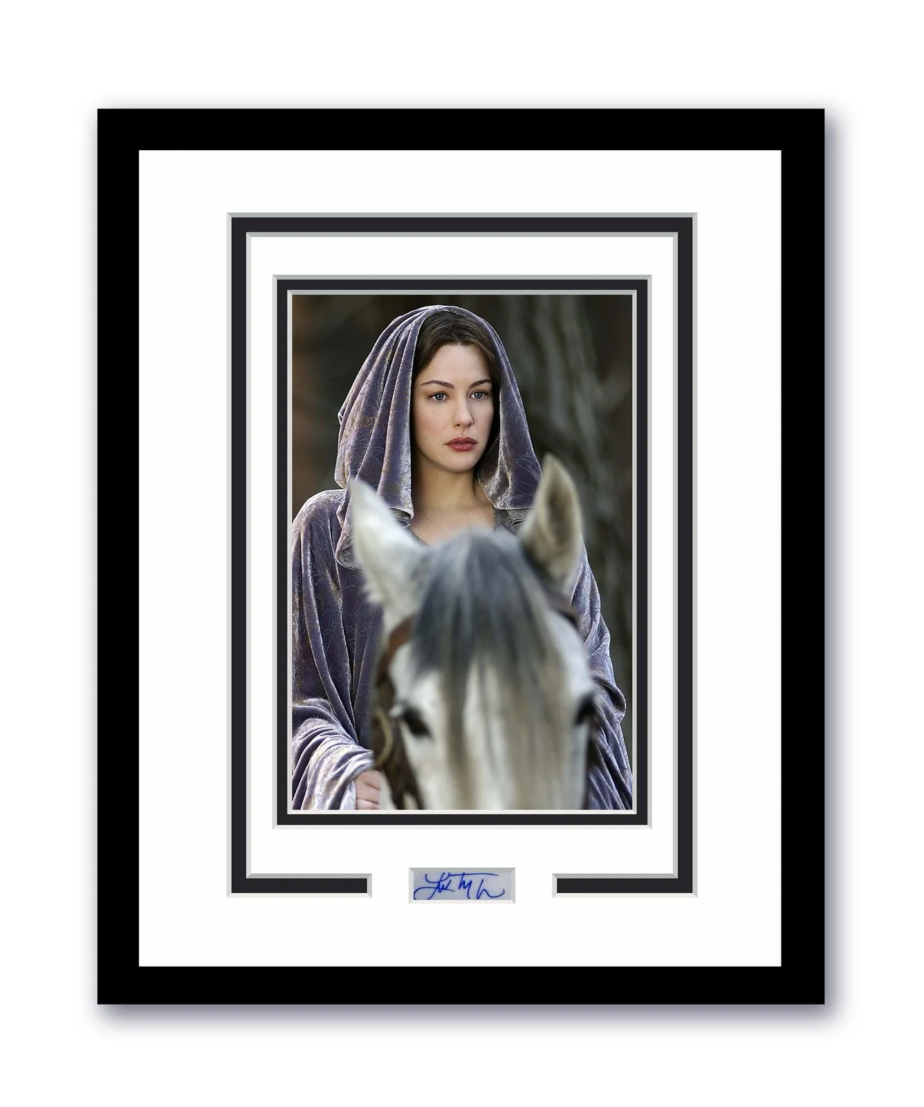 Liv Tyler — Lord Of The Rings Liv Tyler Autographed Signed 11x14 Framed Photo ACOA