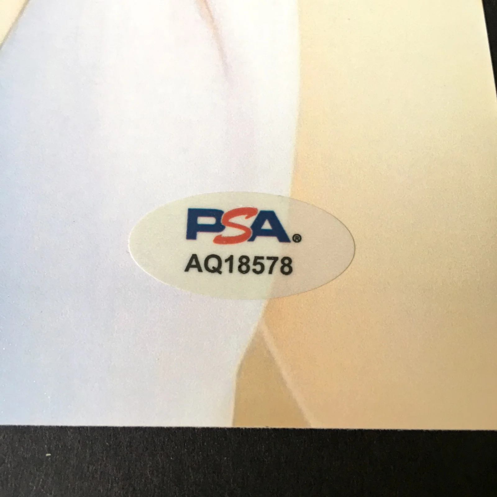 Alison Brie — ALISON BRIE SIGNED 8x10 PHOTO PSA DNA AUTOGRAPH HOT PHOTOSHOOT CLEAVAGE, изображение 2