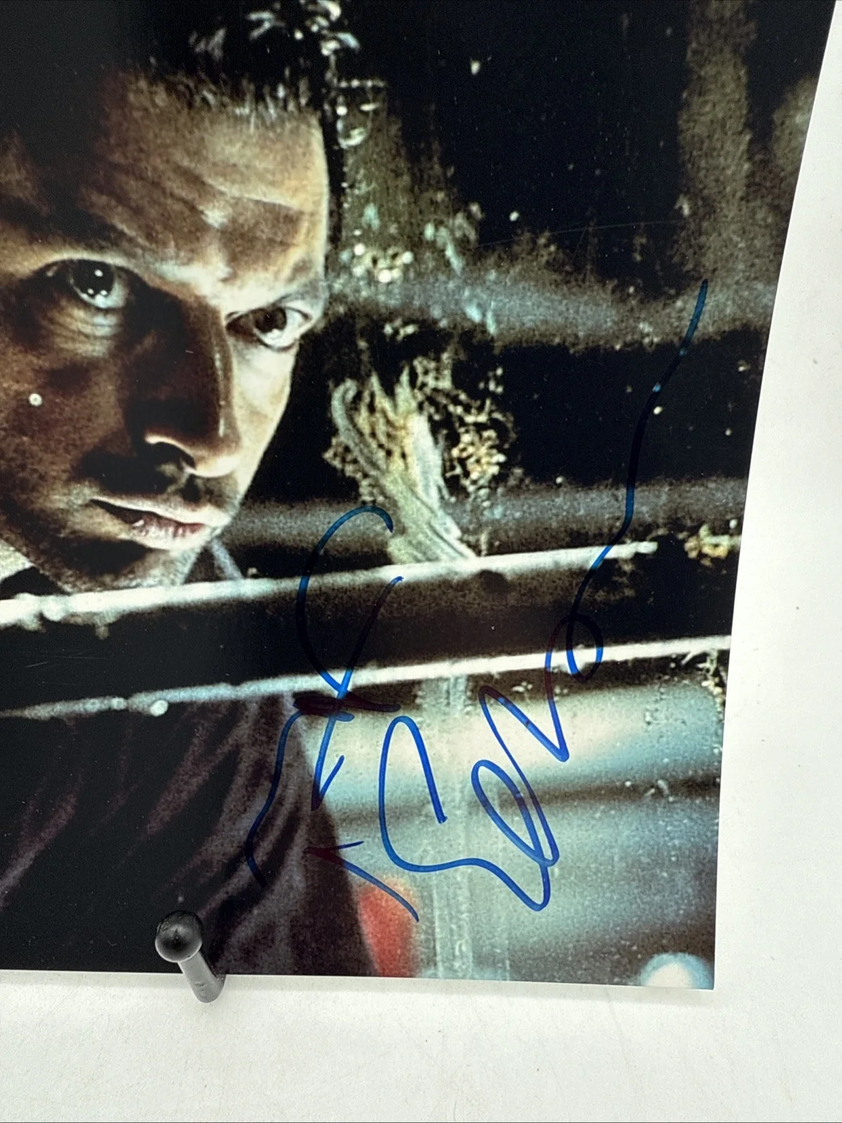 Jeff Goldblum signed 8x10 Jurassic Park Photo Autographed Picture with COA, изображение 2