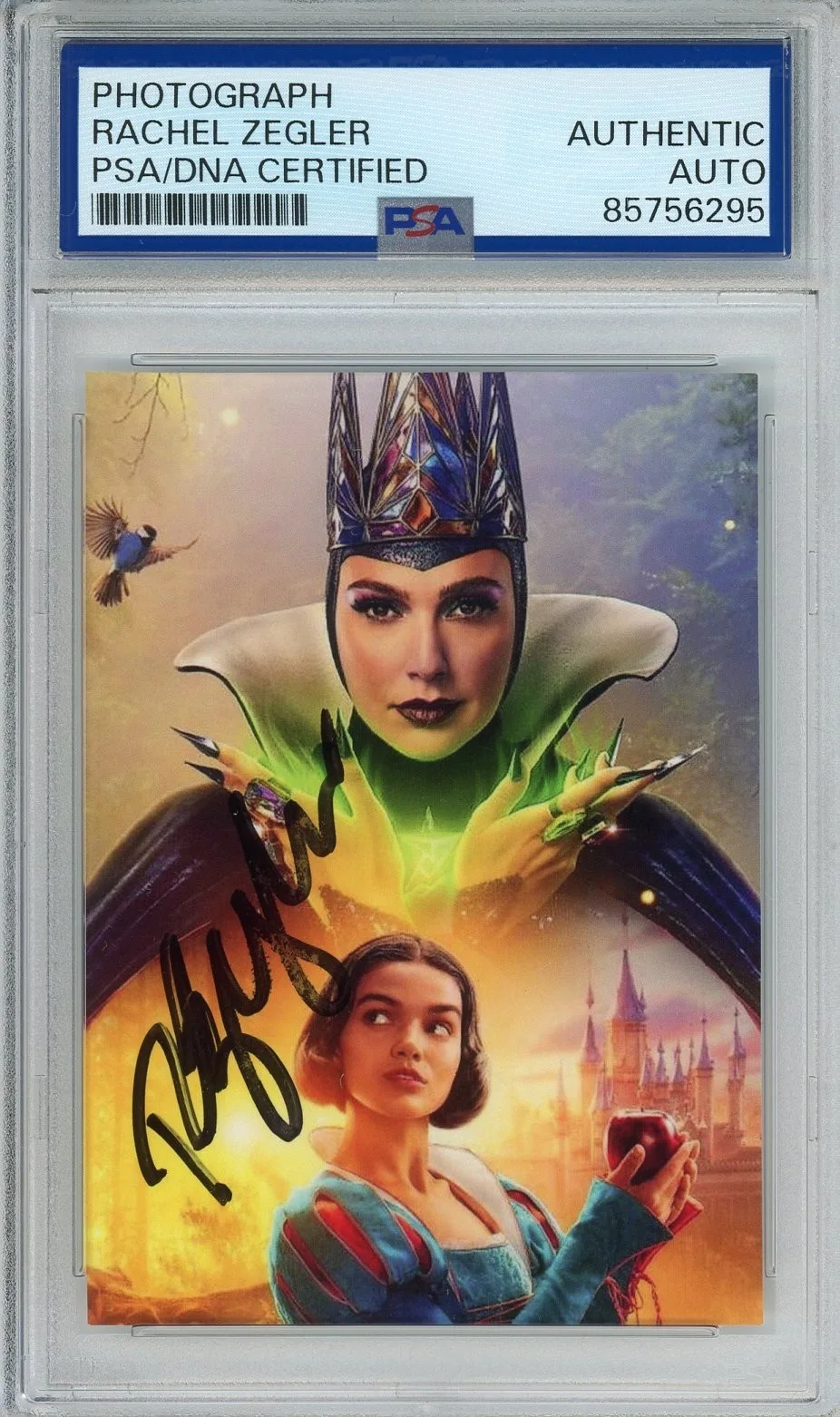 Rachel Zegler — DISNEY SNOW WHITE & 7 DWARFS SIGNED MOVIE PHOTOGRAPH RACHEL ZEGLER PSA DNA COA