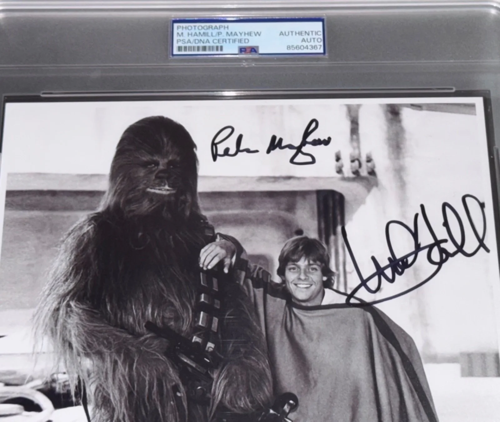 Mark Hamill — Signed Mark Hamill & Peter Mayhew Photo Star Wars Luke + Chewy 8x10 OPX Auto PSA, изображение 2