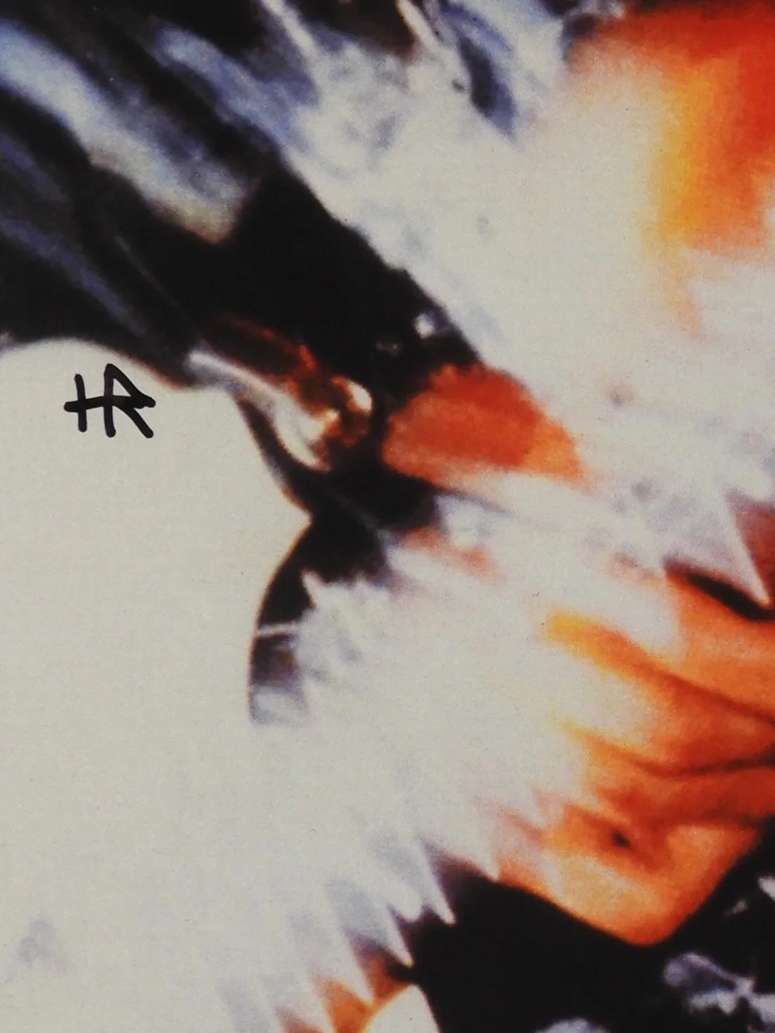 Bad Brains H.R. Signed JSA Autograph Album Vinyl Live In Amsterdam HR, изображение 2