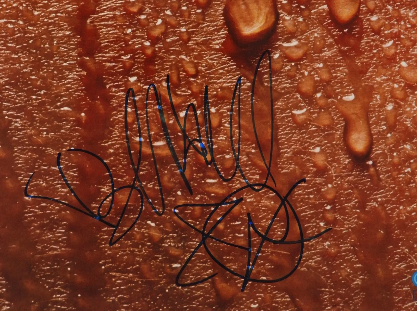 Hall & Oates Signed Autograph Album JSA Record Vinyl H2O Daryl Hall John Oates, image 2