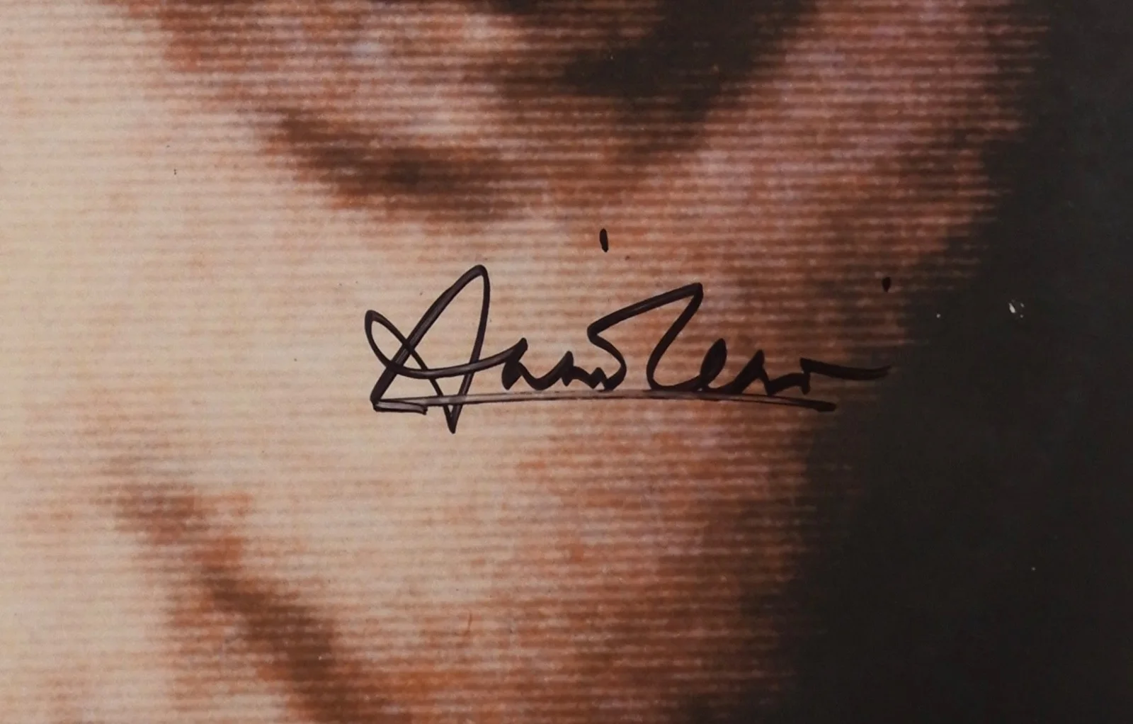 Annie Lennox Signed Autograph Album JSA Record Vinyl Eurythmic 1984, image 2