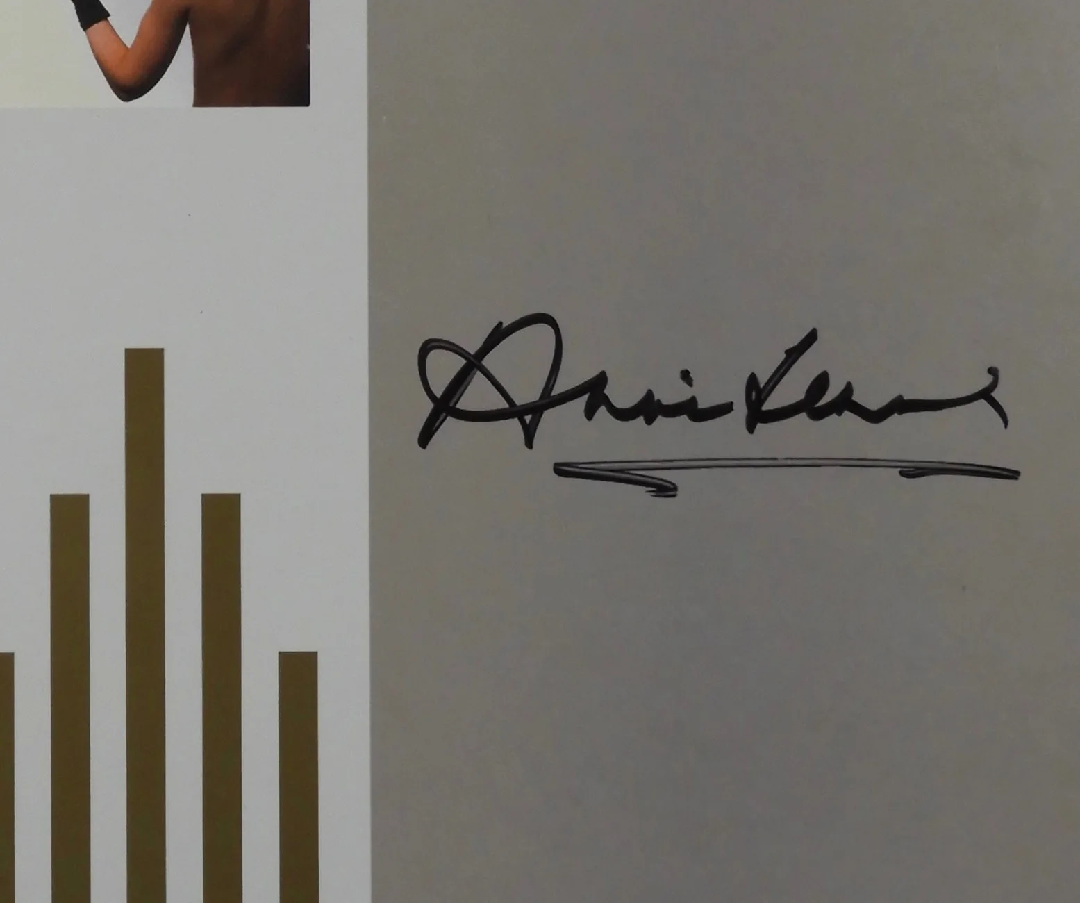 Annie Lennox Signed Autograph Album JSA Record Vinyl Eurythmic Sweet Dreams, изображение 2