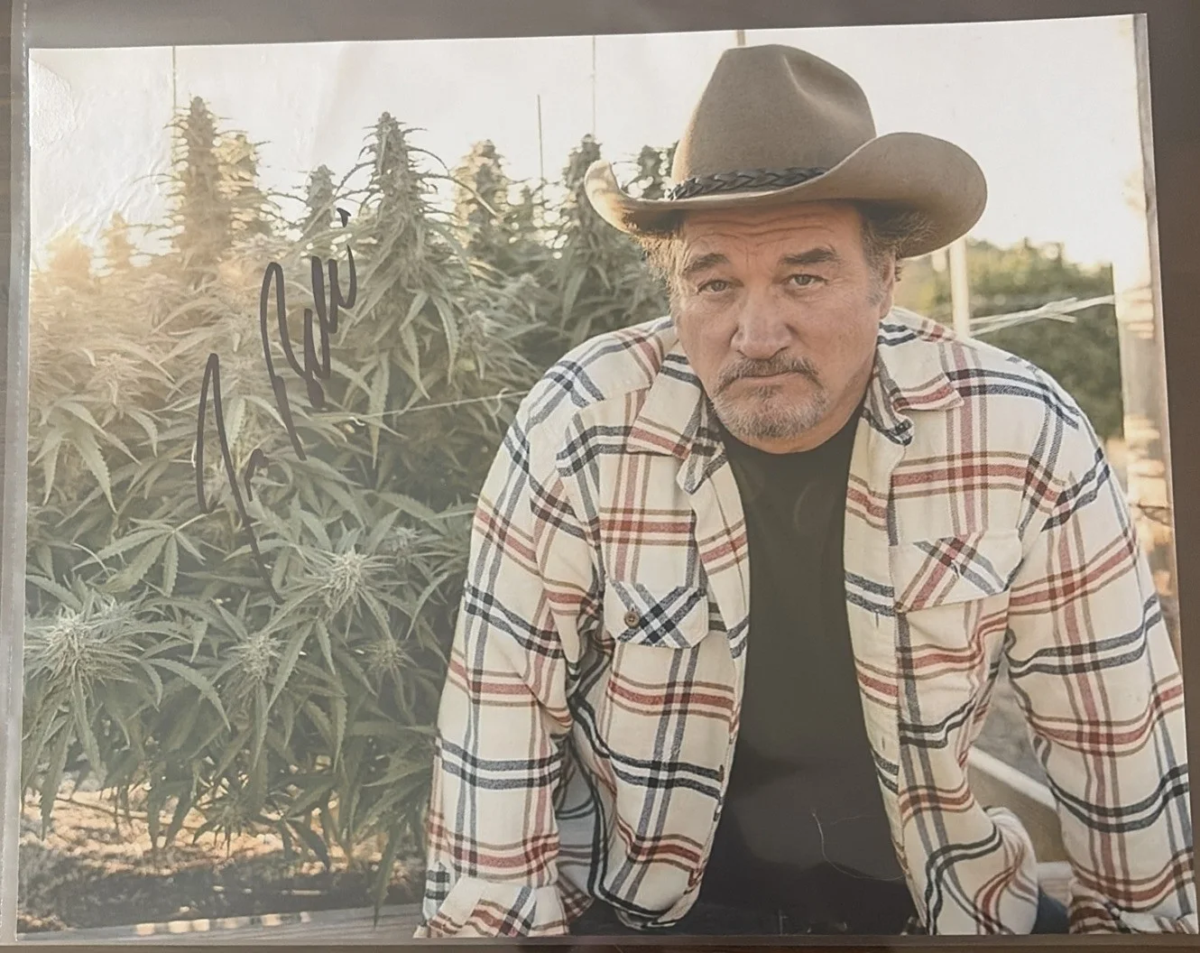 Jim Belushi — Jim Belushi Autographed Signed Photo 8x10 ‘According To Jim’ Signed MJ Plants