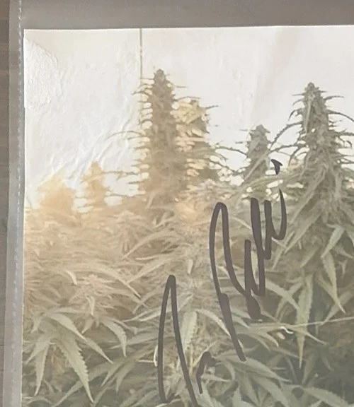 Jim Belushi — Jim Belushi Autographed Signed Photo 8x10 ‘According To Jim’ Signed MJ Plants, изображение 3