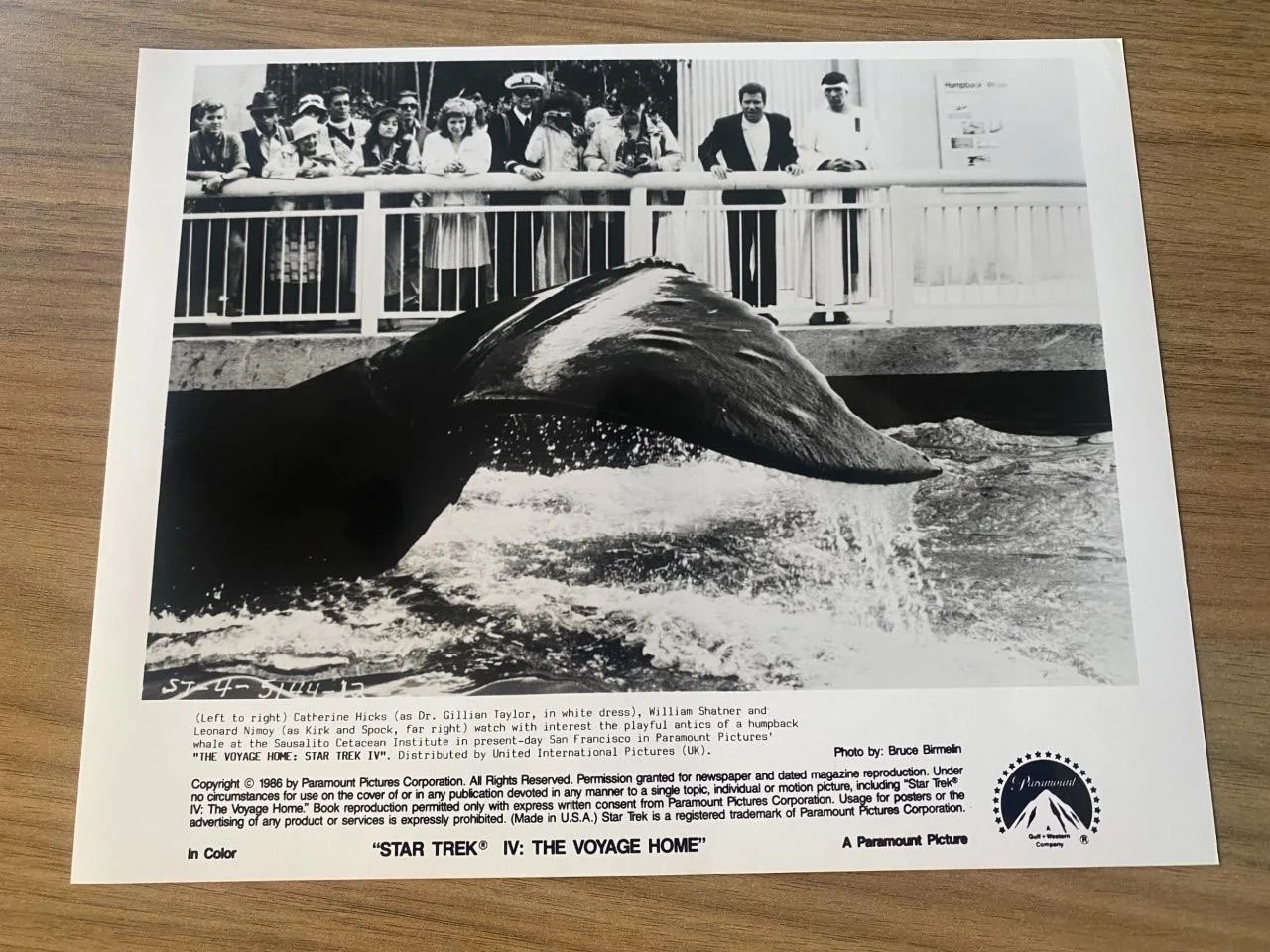 3 Original Star Trek IV The Voyage Home Press Film Still Photos 1986, изображение 3