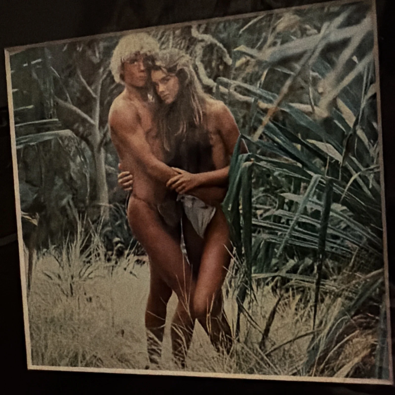 Brooke Shields Autograph Signed Card w/ Vintage Glamour & Blue Lagoon, изображение 3