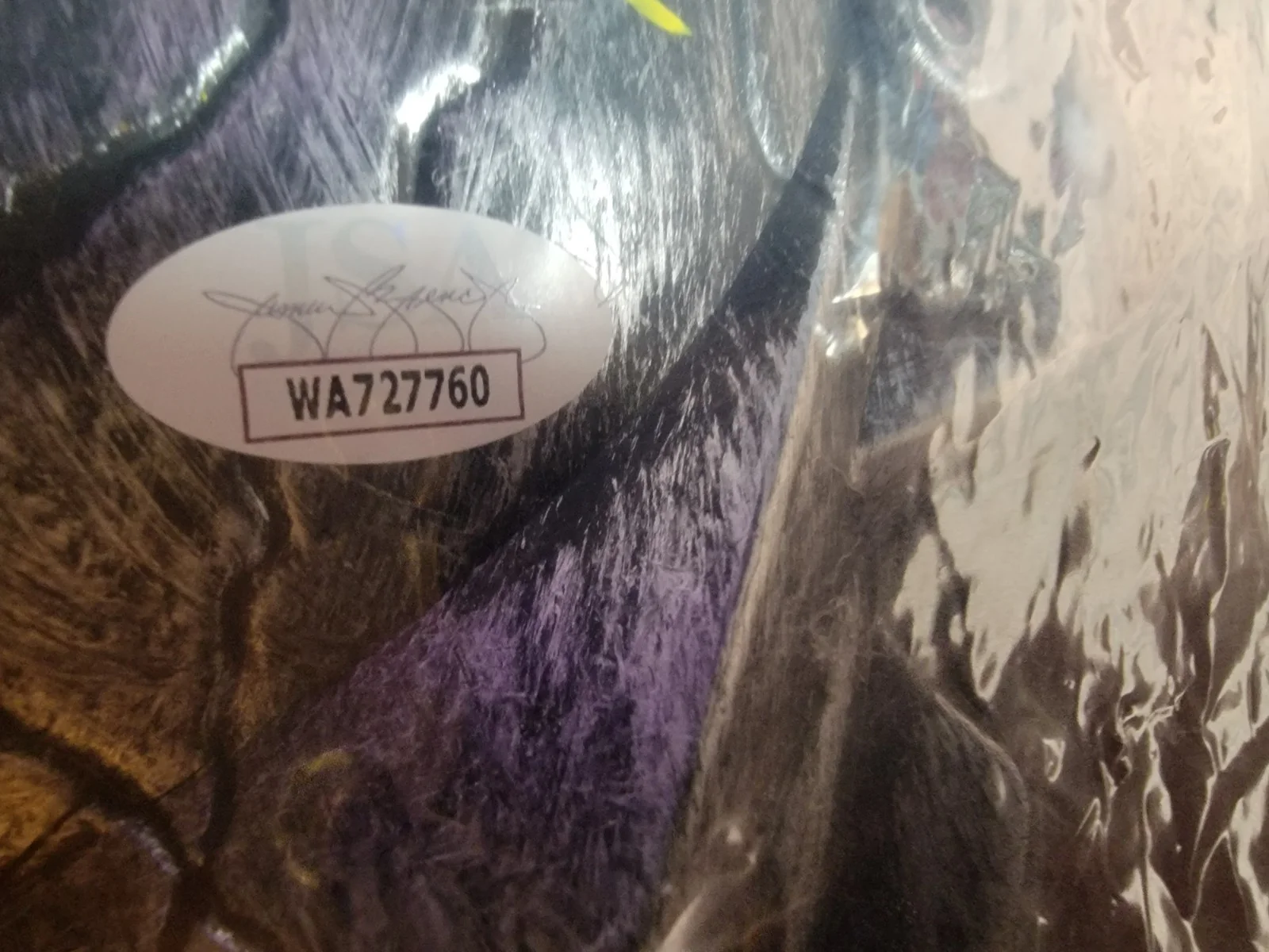 Brian A Prince — Brian A. Prince Authentic Signed Hockey Mask W/ JSA COA Predator, image 3