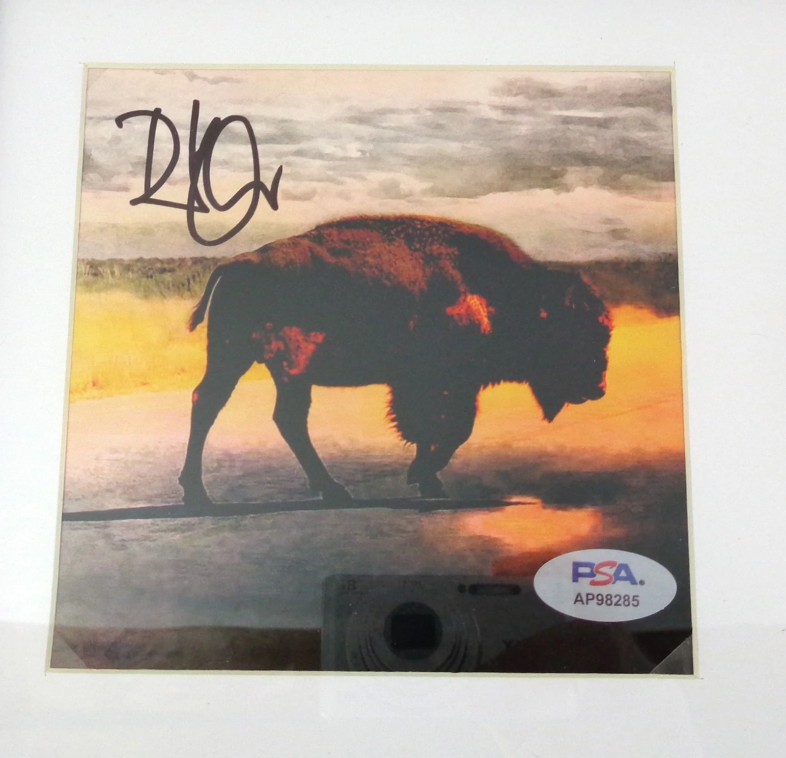 Robert Plant Led Zeppelin Signed Autograph Saving Grace CD Framed PSA/DNA COA, image 2