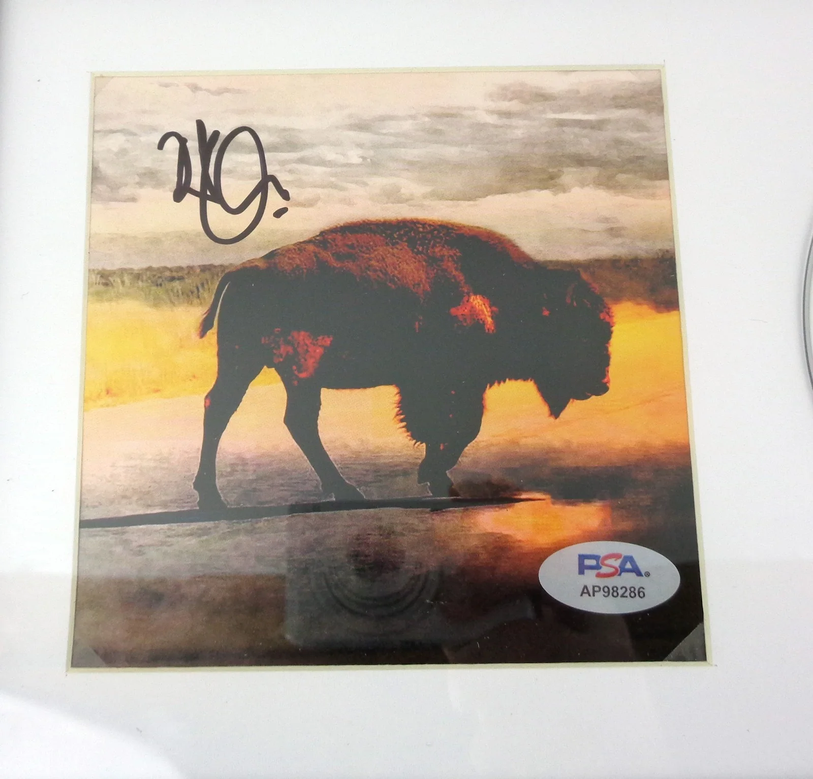 Robert Plant Signed Autograph Led Zeppelin IV CD Framed PSA/DNA COA, image 2