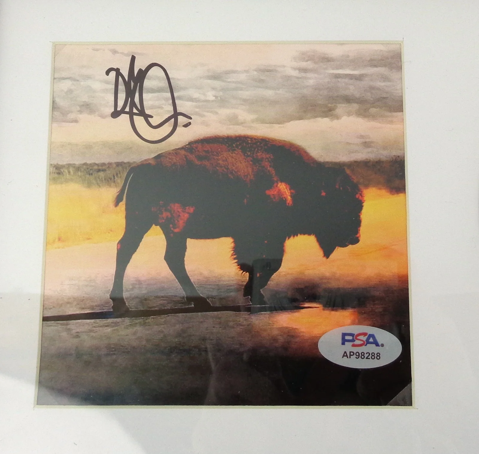 Robert Plant Led Zeppelin Signed Autograph Physical Graffiti CD Framed PSA COA, image 2