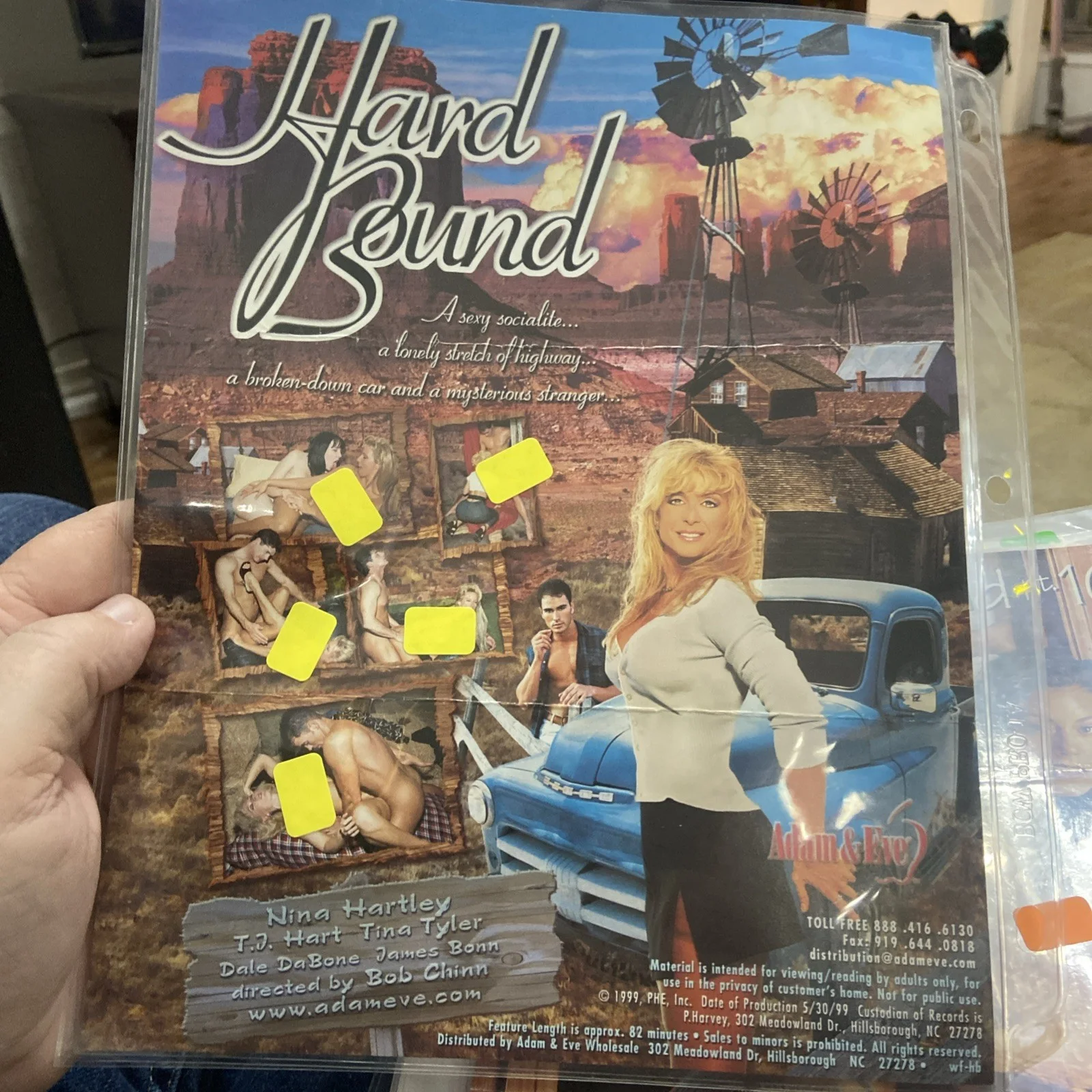 NINA HARTLEY SIGNED AUTOGRAPHED 8.5x11 movie flyer ADULT MOVIE ACTRESS - creased, изображение 4