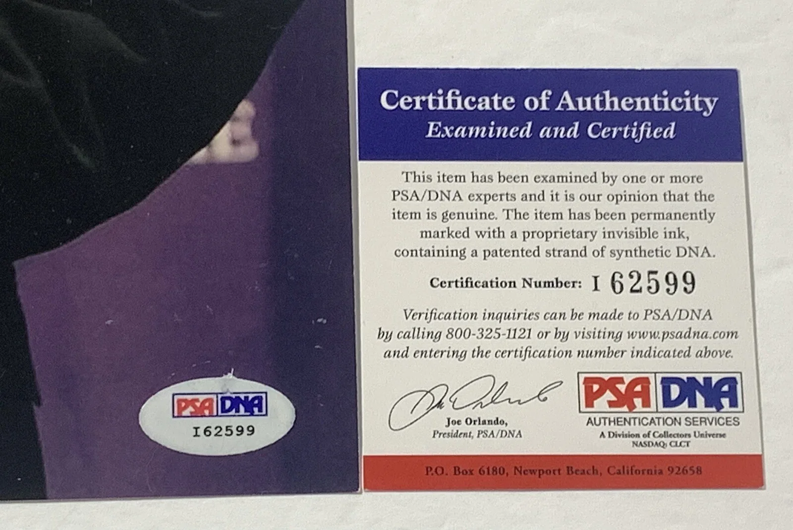 Leonard Cohen signed Photo 11x14 inch Rock N Roll HOF psa dna coa, изображение 4