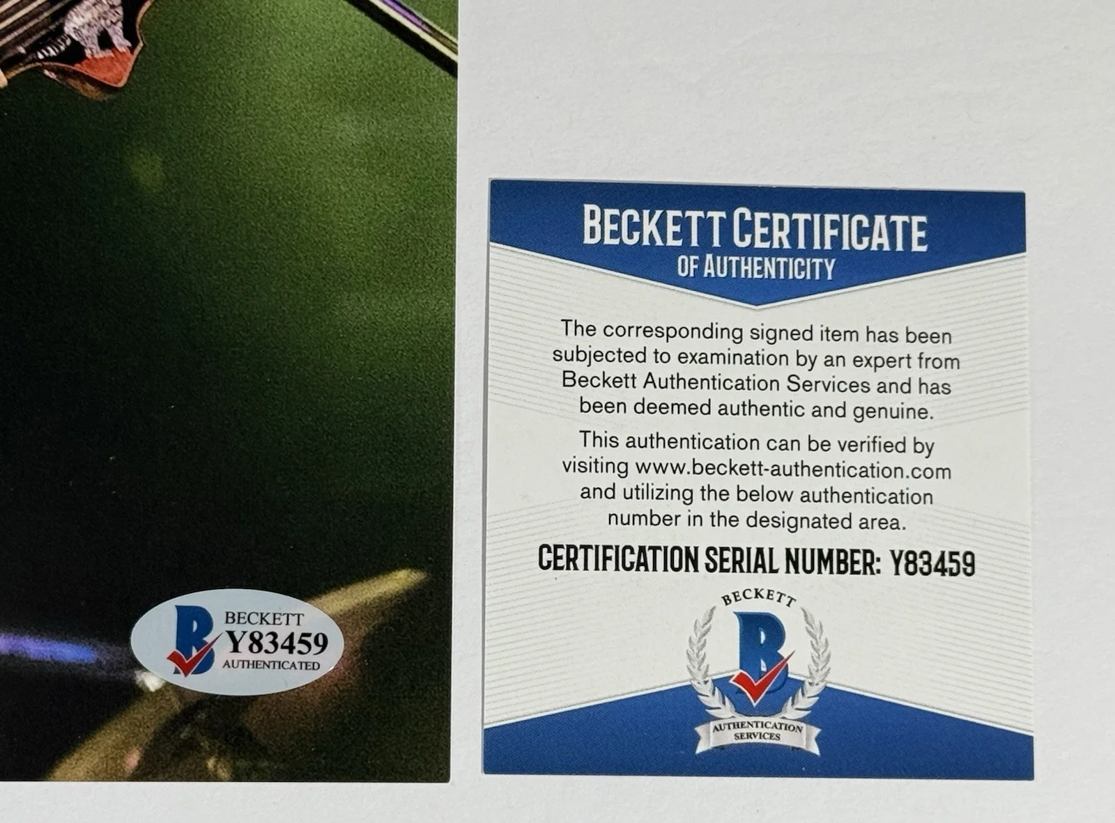 Trey Anastasio Phish signed Photo 8x10 autographed beckett coa, изображение 3