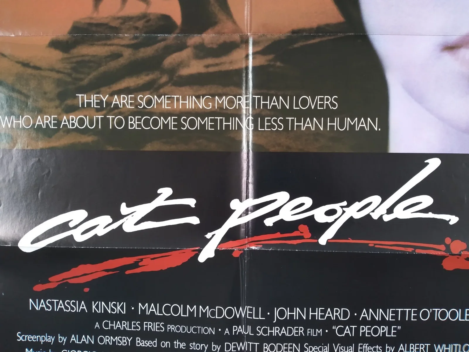 Cat People original movie 1982 poster US one sheet, изображение 3