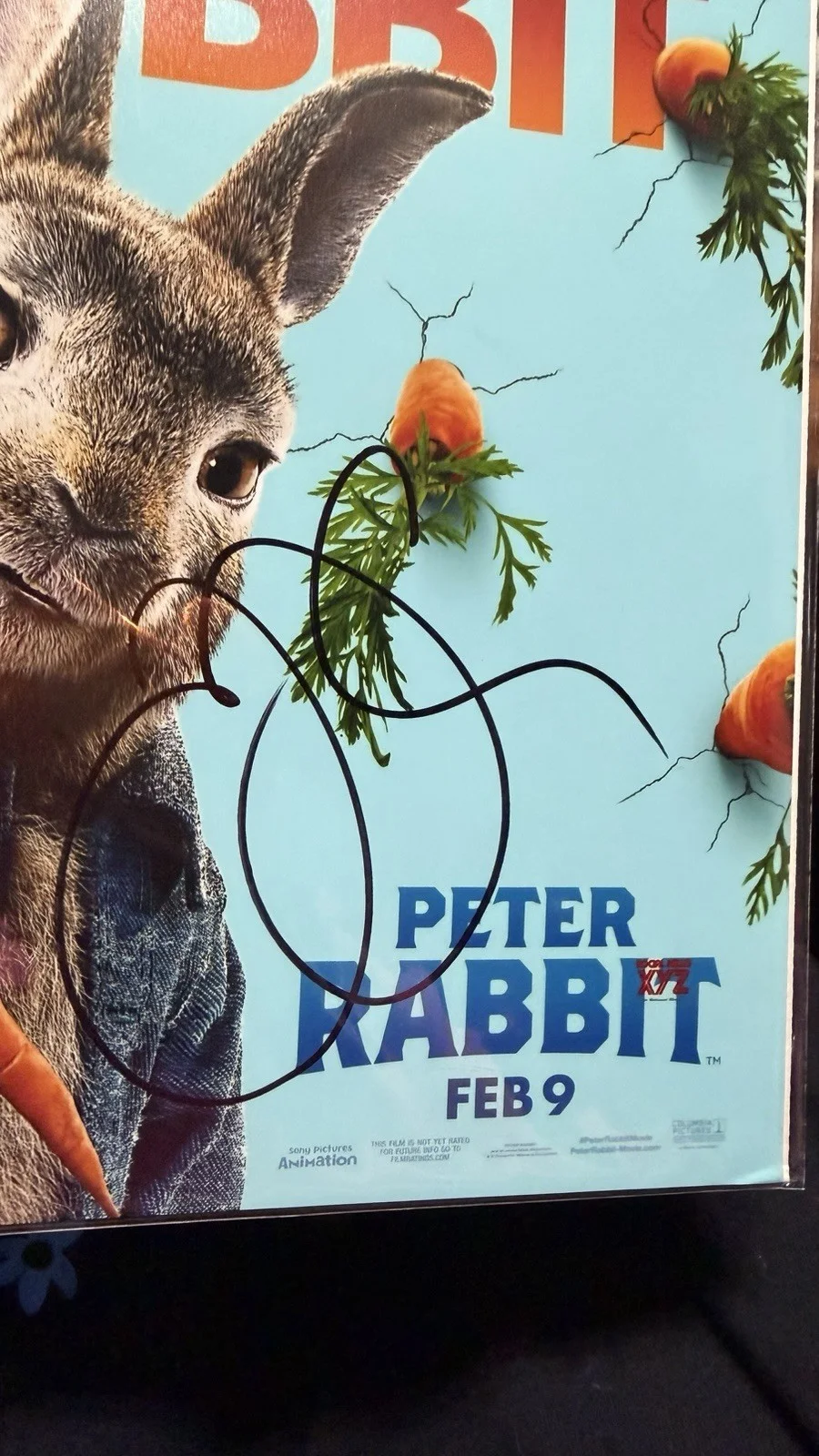 James Corden — James Corden Peter Rabbit autographed photo signed 12x8 ACOA, image 2
