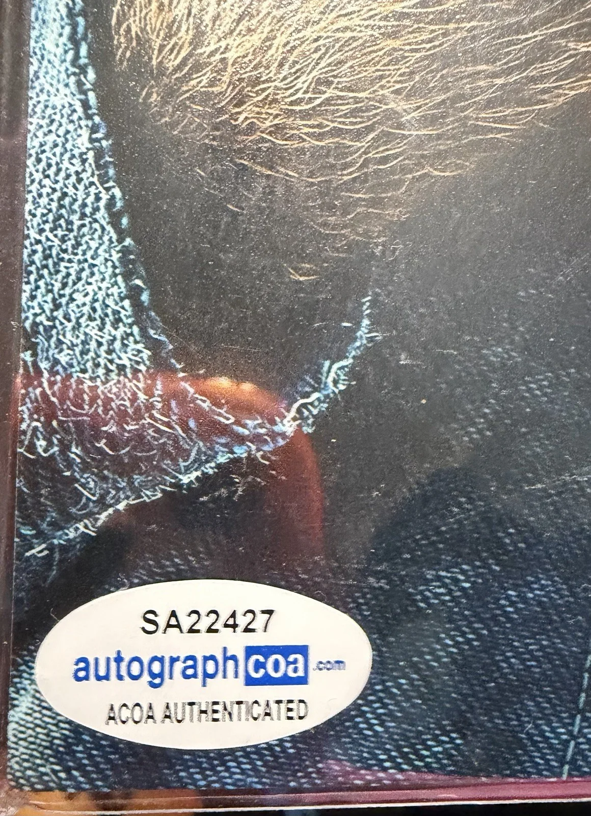 James Corden — James Corden Peter Rabbit autographed photo signed 12x8 ACOA, image 3