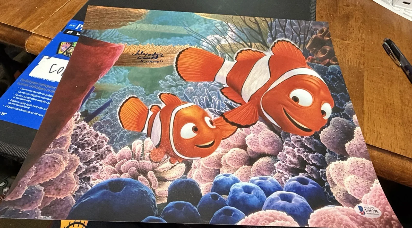 Alexander Gould — Autographed Alexander Gould Signed 11x14 Photo Finding Nemo Disney Beckett COA