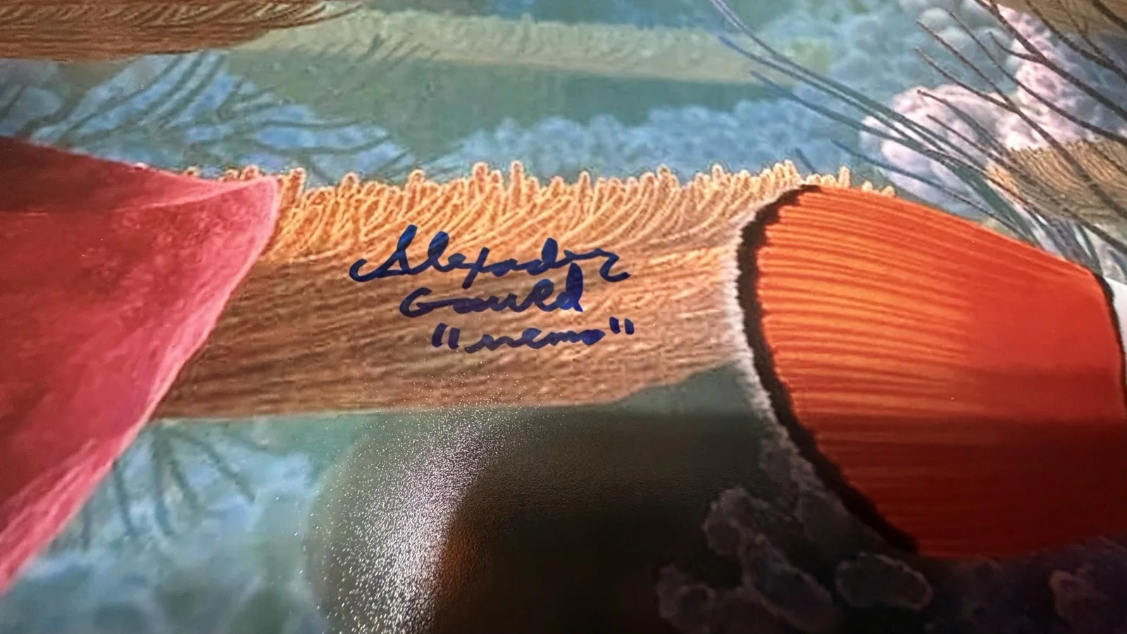 Alexander Gould — Autographed Alexander Gould Signed 11x14 Photo Finding Nemo Disney Beckett COA, изображение 2