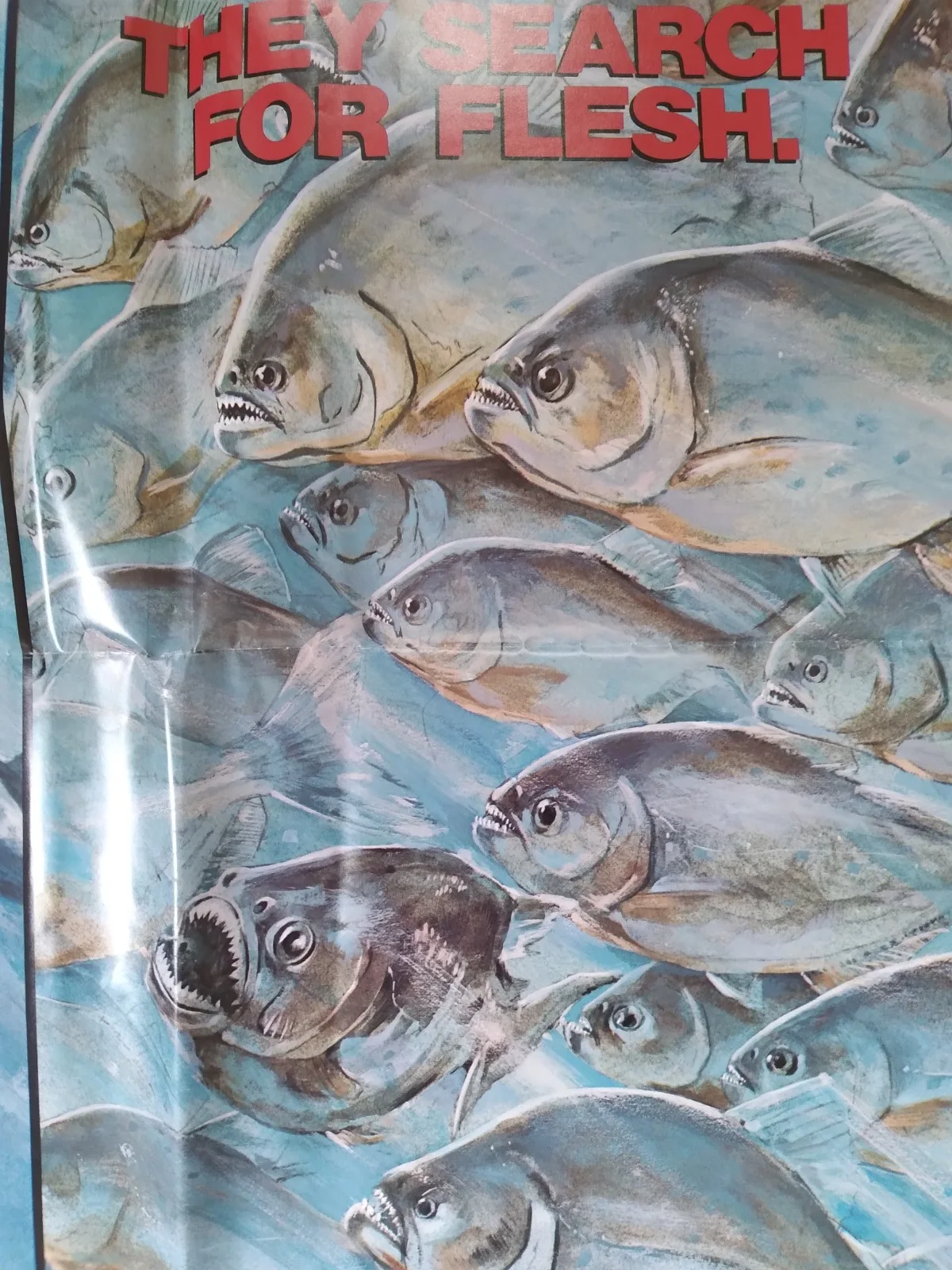 Killer Fish original movie 1979 poster US one sheet, image 3