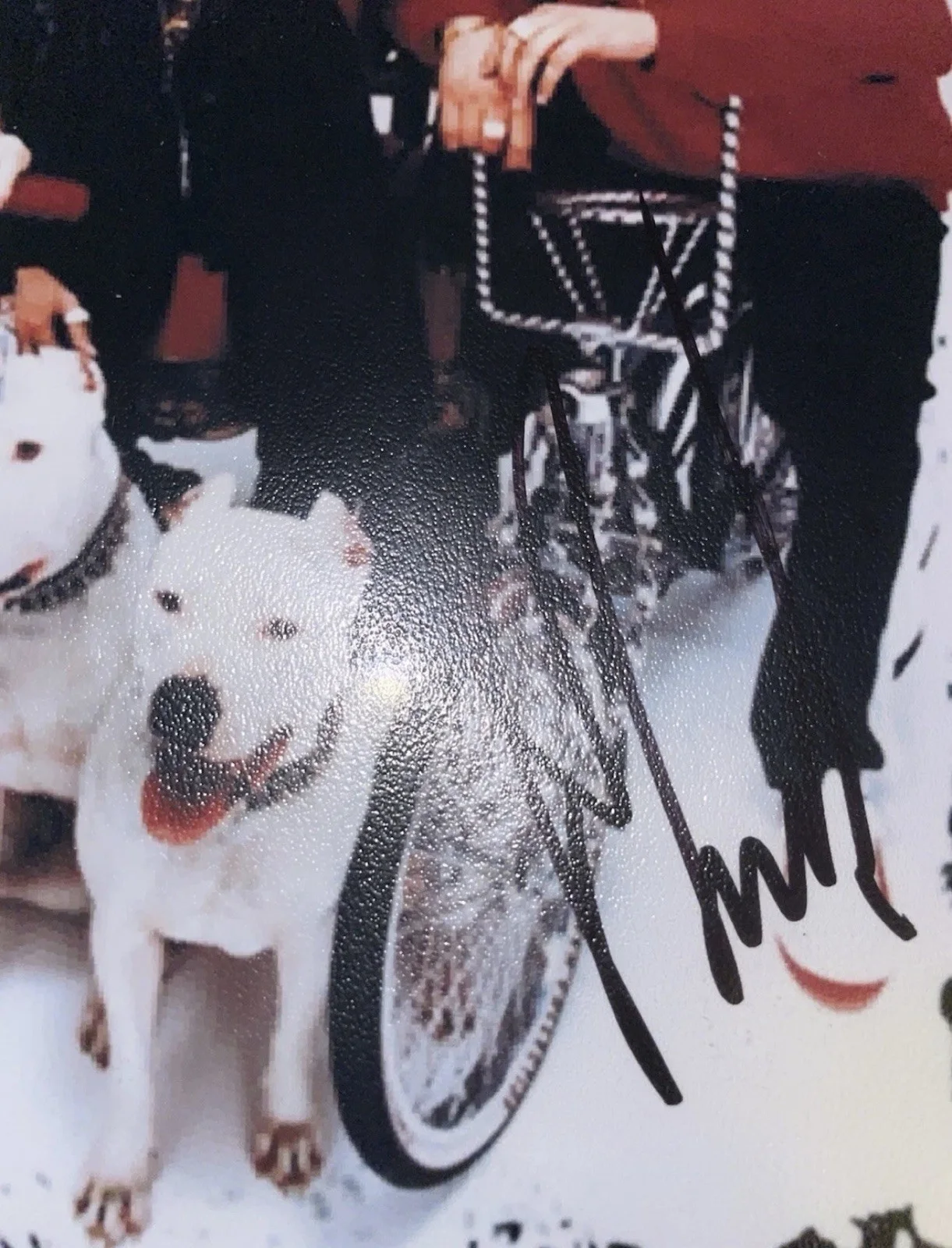 JAMES MUNKY SHAFFER SIGNED 8x10 PHOTO KORN GUITARIST AUTOGRAPH, image 2
