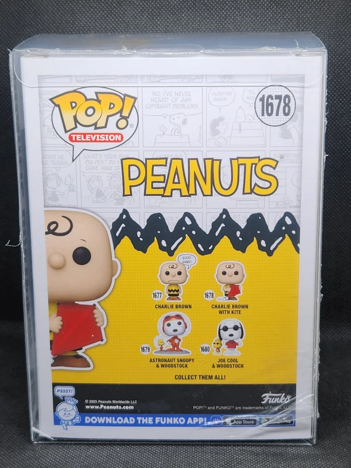 Brad Kesten — Brad Kesten Voice Actor Signed Funko Pop #1678 Charlie Brown OCC COA Hologram, изображение 4