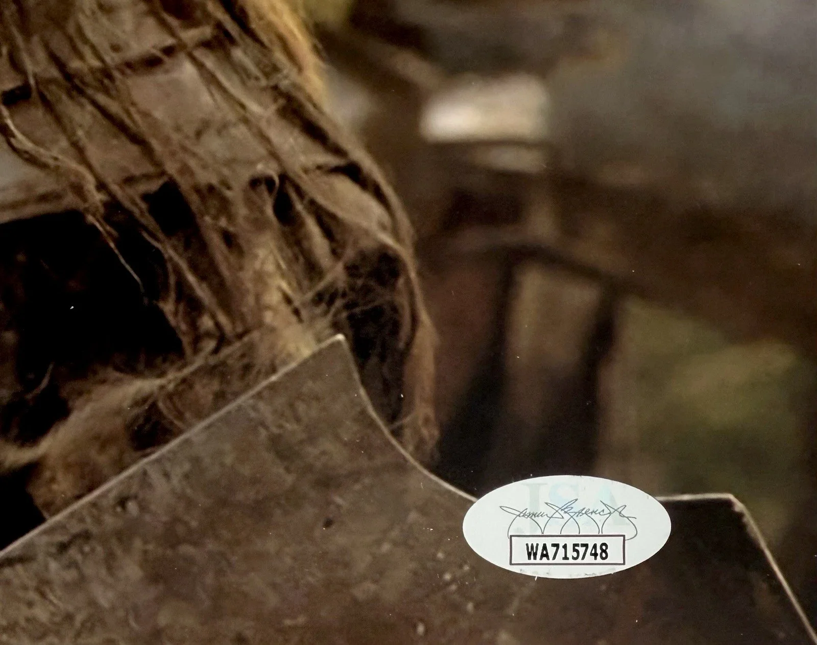 Lawrence Makoare — LAWRENCE MAKOARE SIGNED • JSA WITNESS • LORD OF THE RINGS PHOTO • LURTZ • LOTR, изображение 3