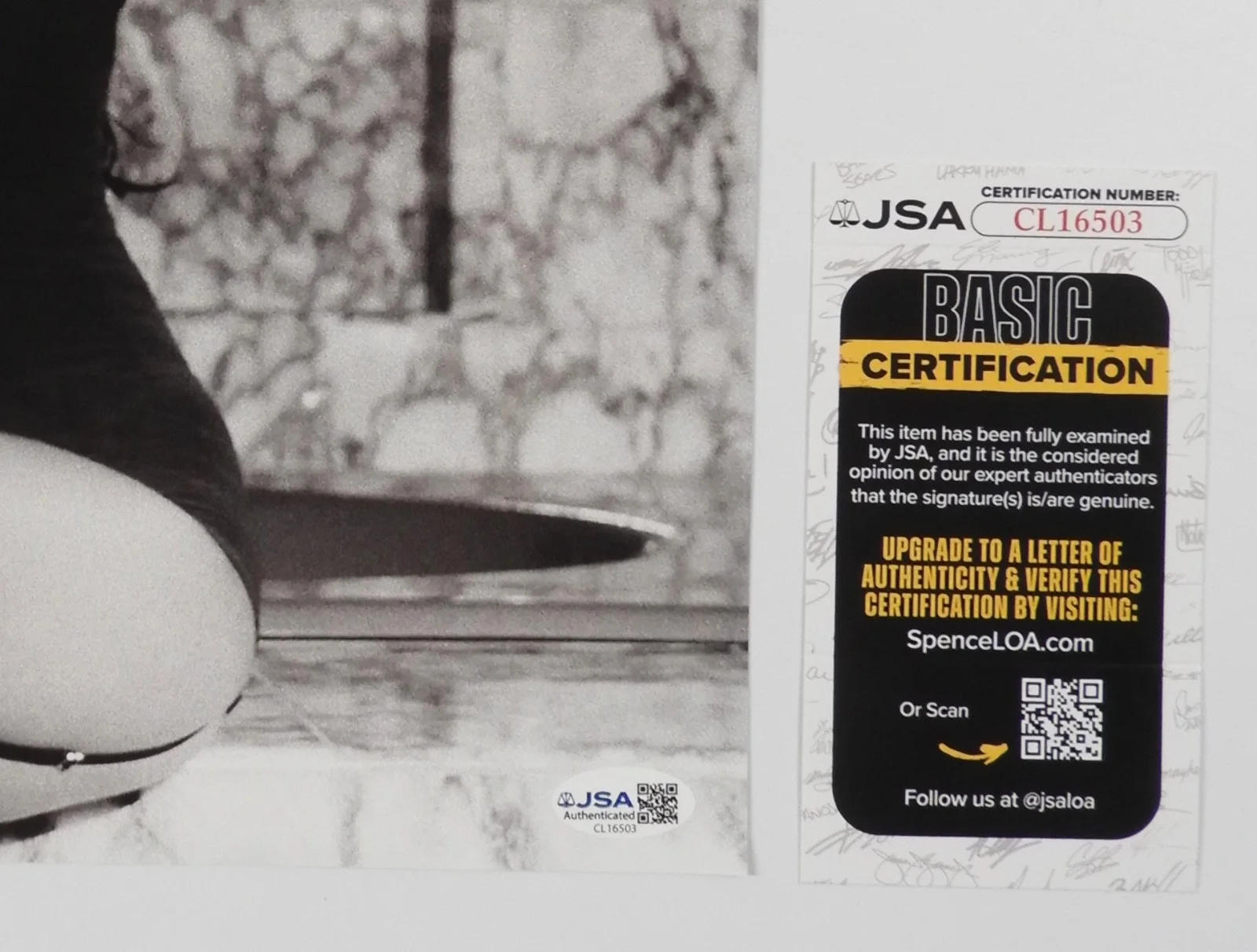 Jessie Murph JSA Signed Autograph Insert Album Record Vinyl Sex Hysteria, изображение 2