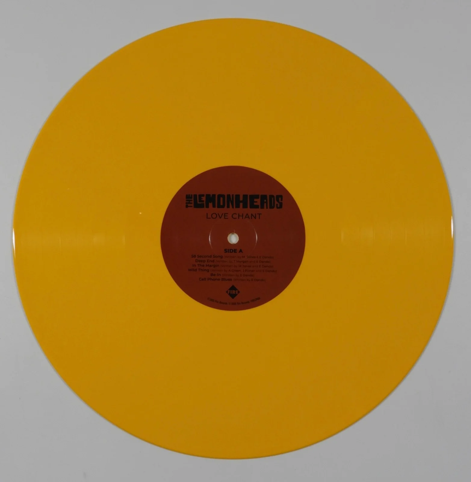 The Lemonheads Evan Dando JSA Signed Autograph Album Record Vinyl, изображение 4