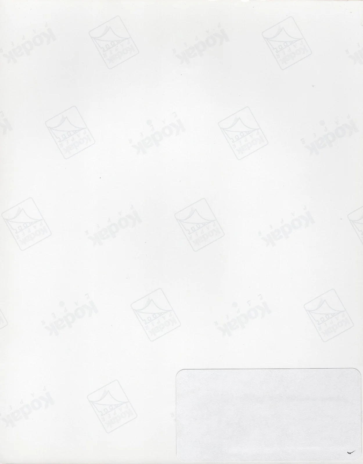 ONE TIME SALE! Keira Knightley GORGEOUS Signed Autographed 8x10 Photo JSA COA!, изображение 3