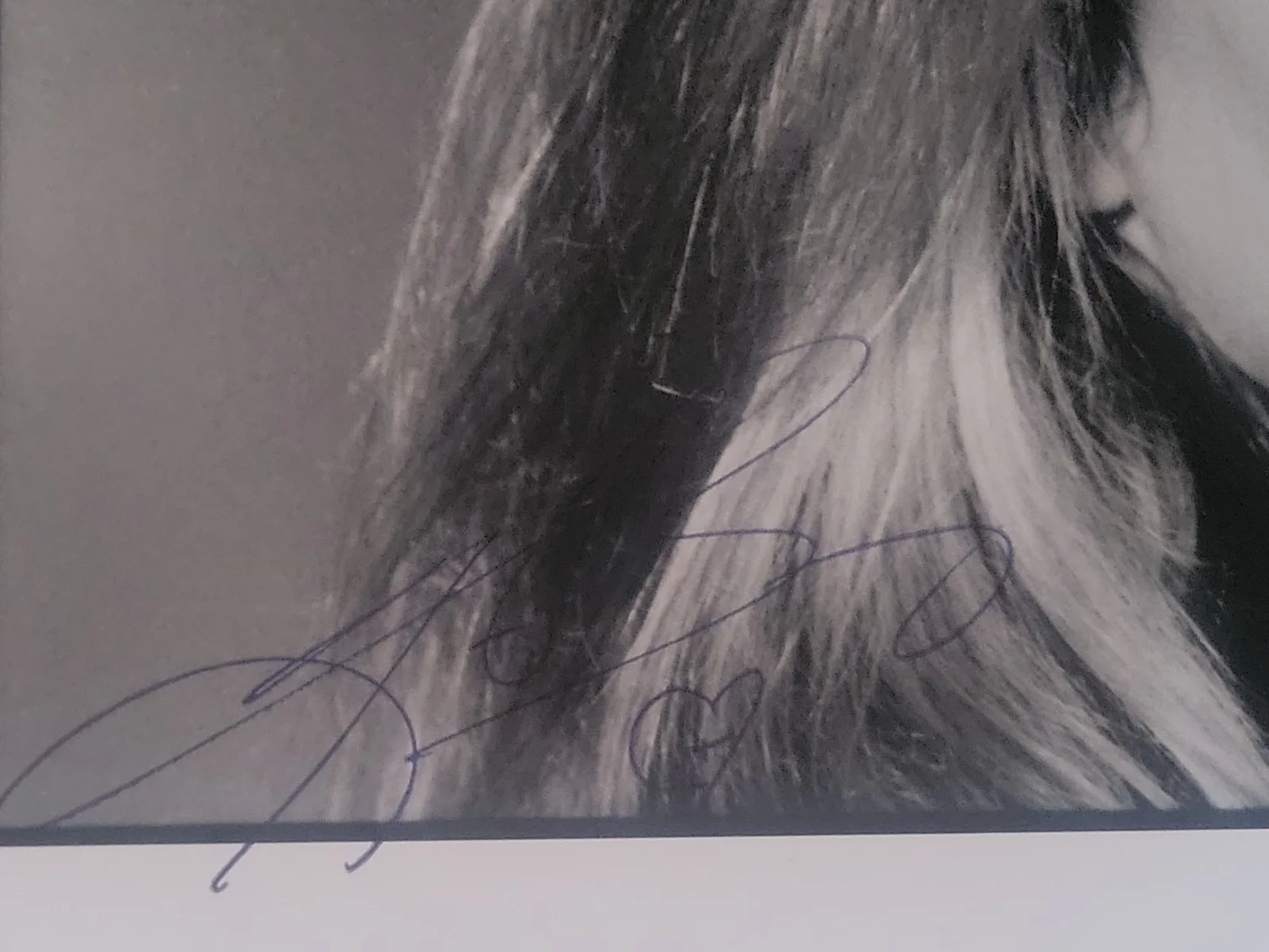 Kim Basinger — Kim Basinger Autographed 8x10 B&W Photo Signed Picture, изображение 2